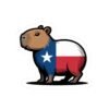 Texas Capybara Sticker - Cute Kiss-Cut Vinyl Decal, Lone Star Flag Design, Texas Souvenir, Laptop Decor